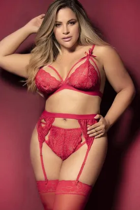 3 Piece Heart Lace Garter Set Plus