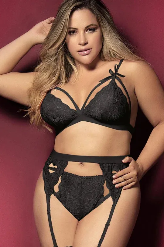 3 Piece Heart Lace Garter Set Plus