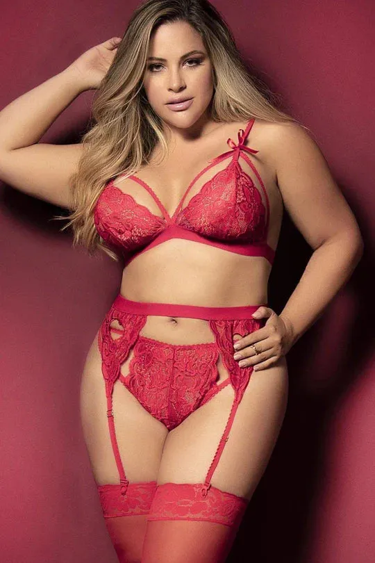 3 Piece Heart Lace Garter Set Plus