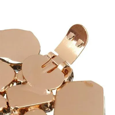 Colorful & Clear Acrylic Shoe Clip